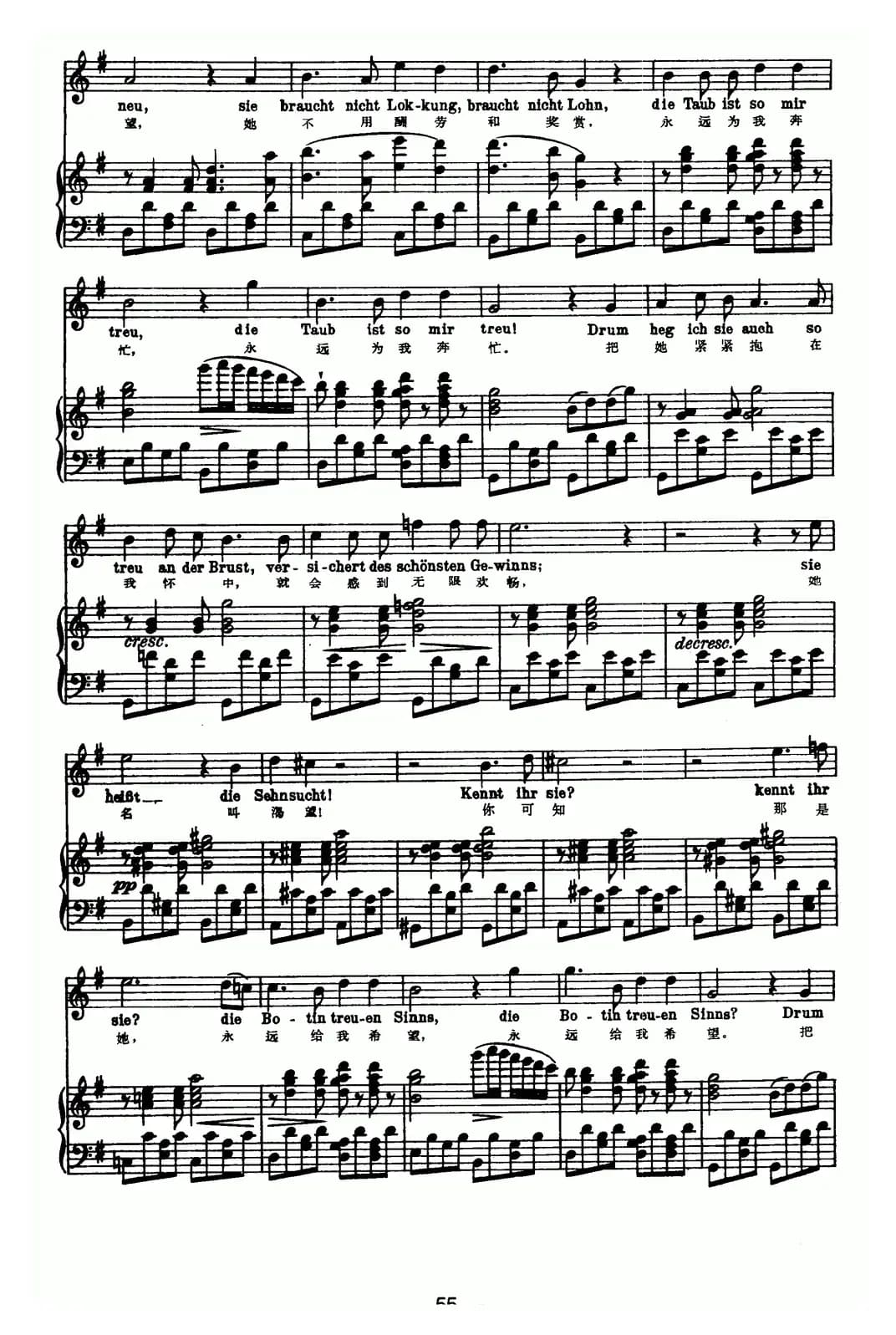 天鹅之歌 14、传信鸽（中外文对照、正谱）