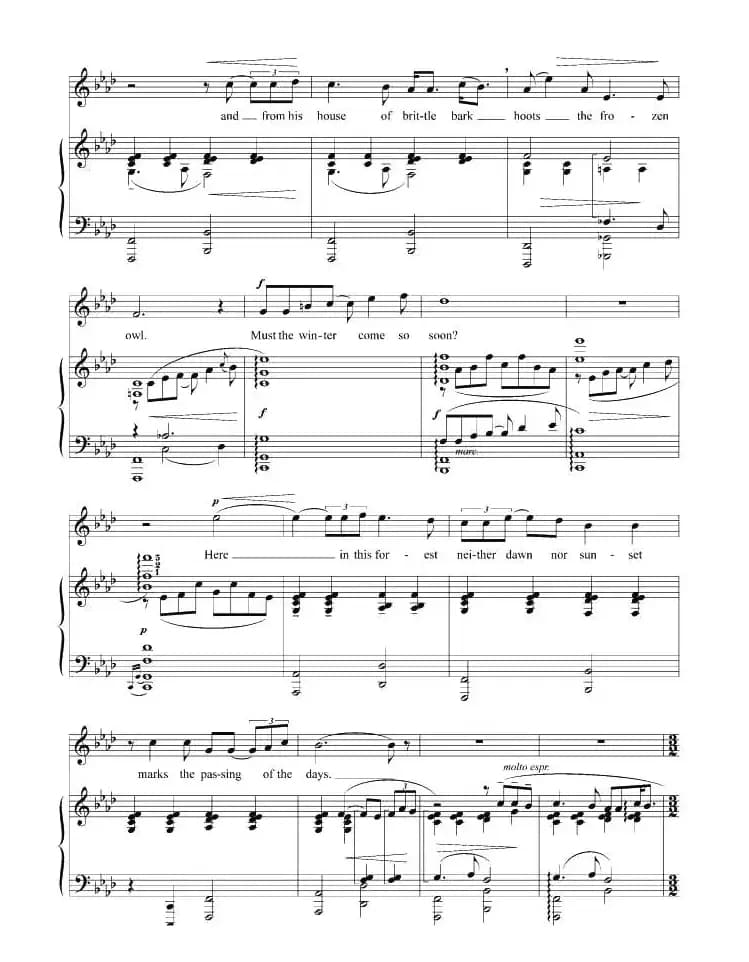 难道冬天一定要来得如此匆忙？（正谱 [美]）