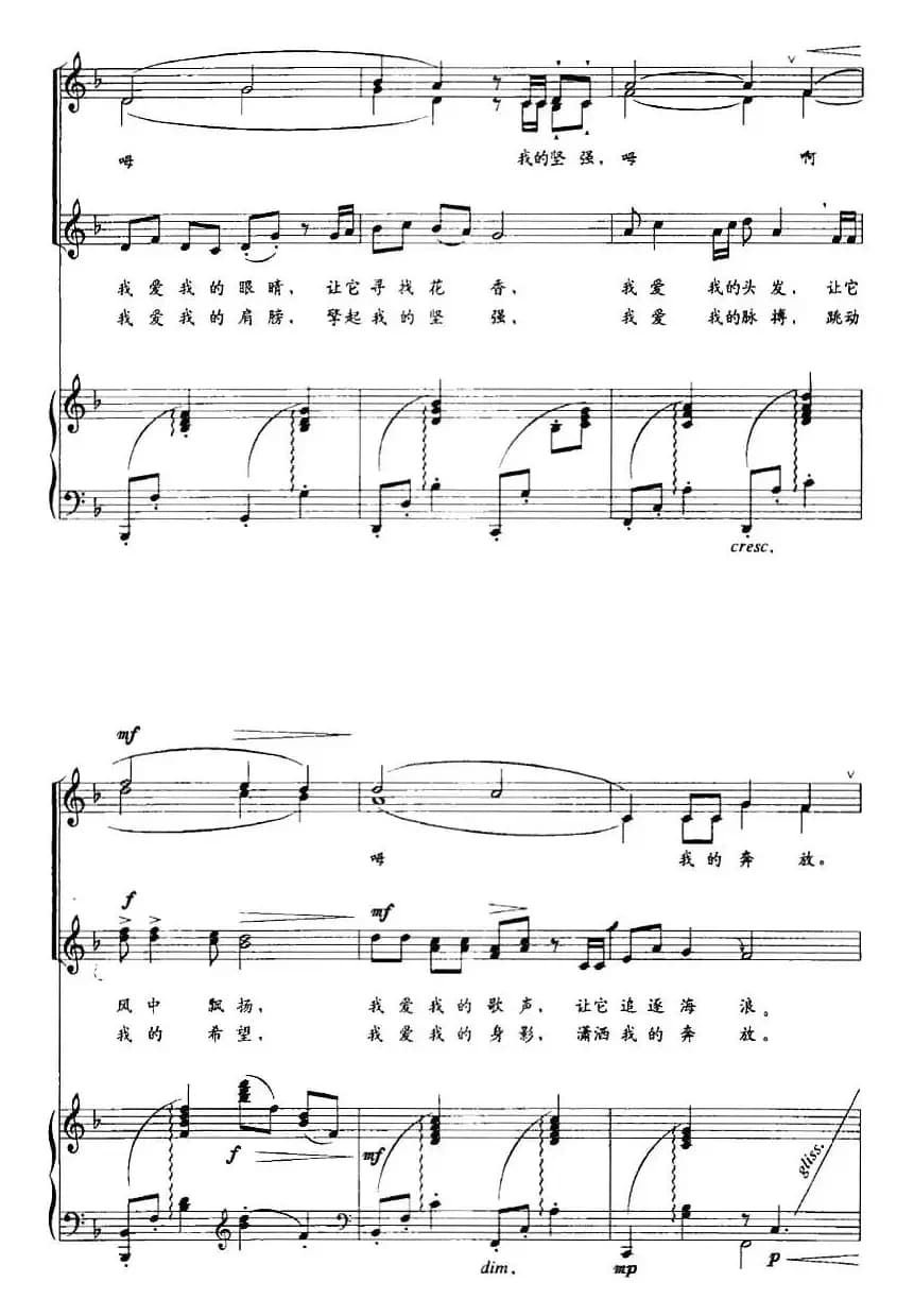 美丽的远航（童声合唱、正谱）