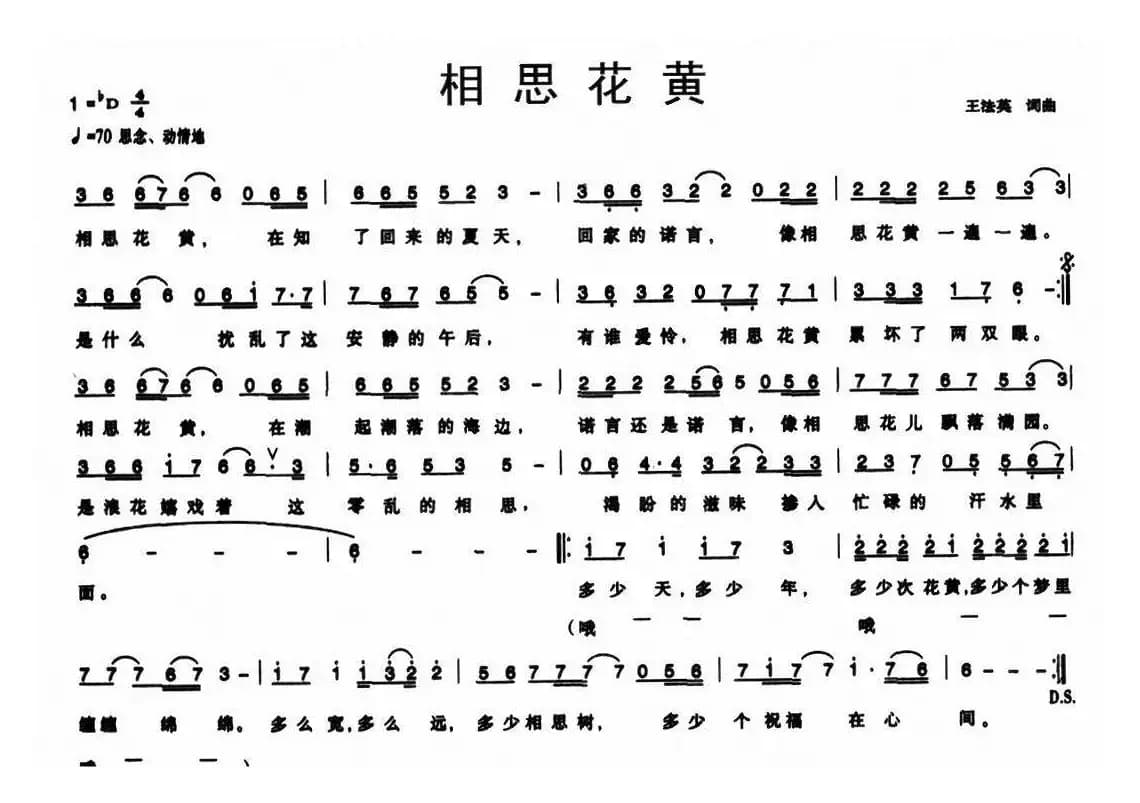 相思花黄