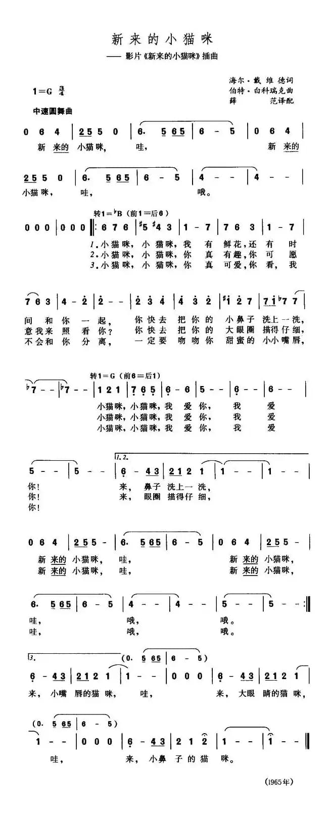 [美] 新来的小猫咪