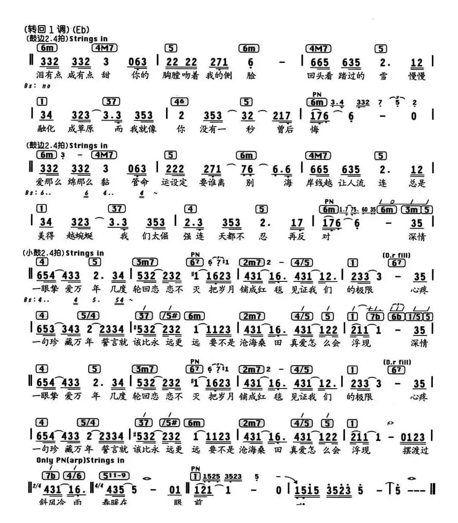 一眼万年（电视剧《天外飞仙》片头曲、编配乐谱）