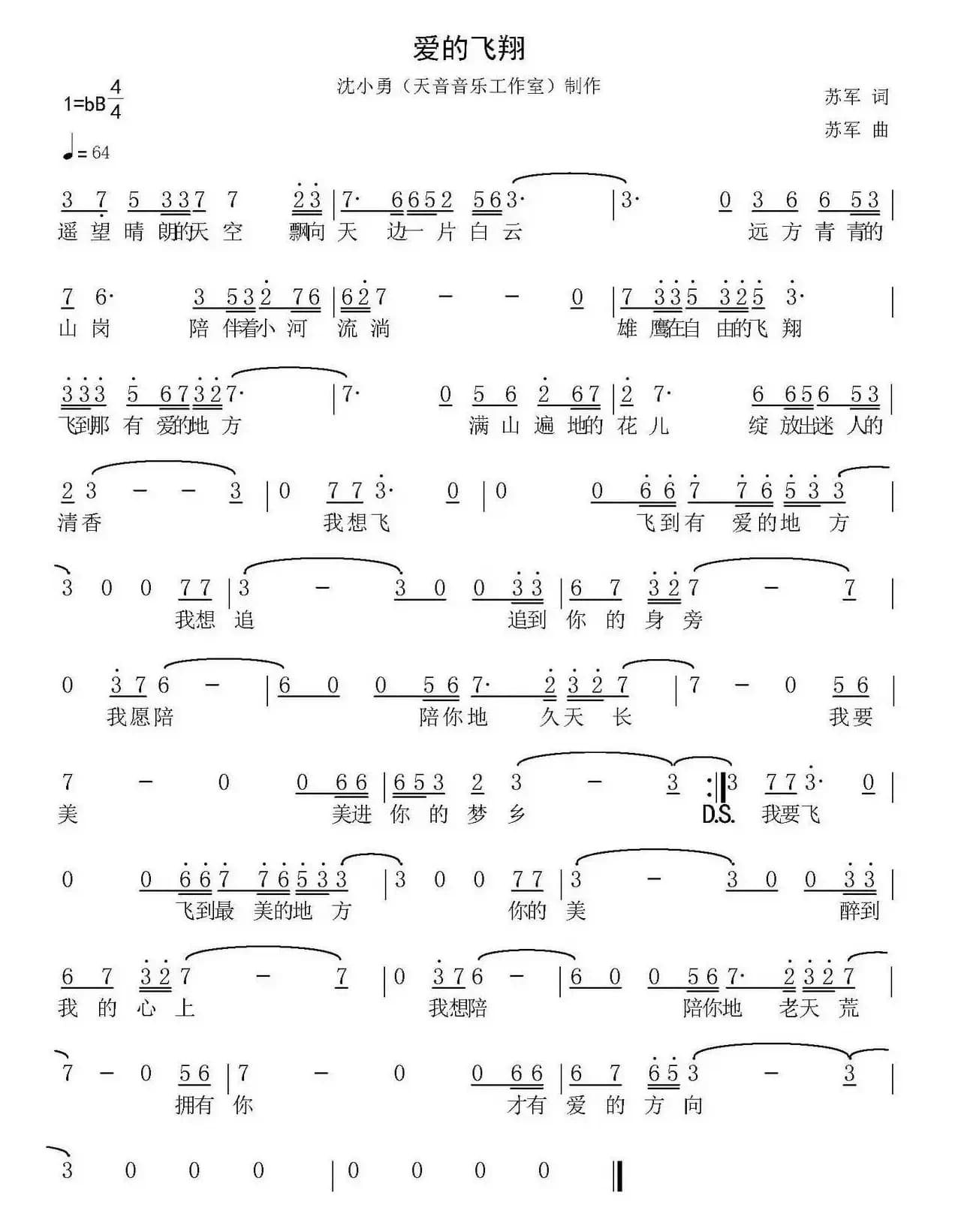 爱的飞翔（苏军 词曲）