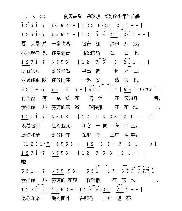 夏天最后一朵玫瑰