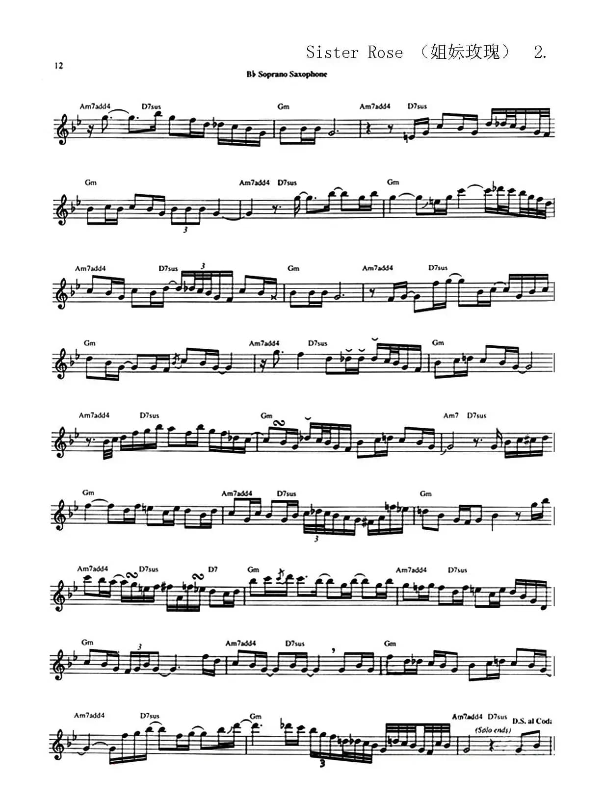 Sister Rose （（姐妹玫瑰））