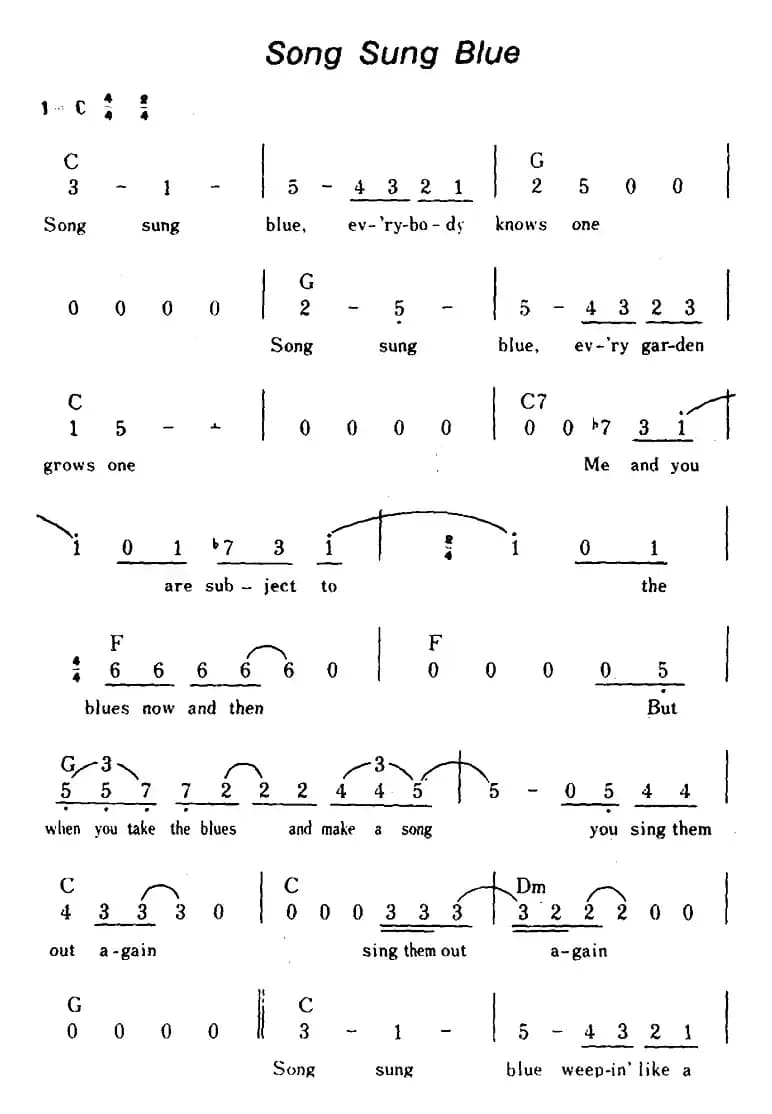 [美]Song Sung Blue（爱之歌、带和弦）