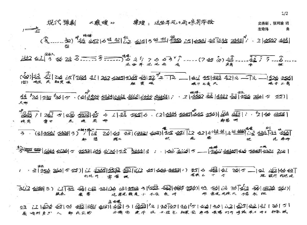 这些年风风雨雨亲身体验（豫剧《康嫂》选段）