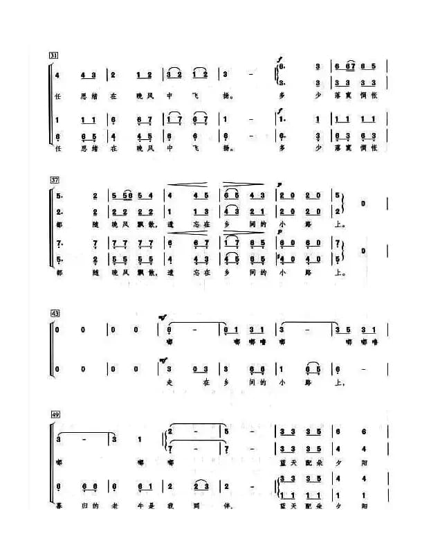 乡间的小路（金巍编合唱版）