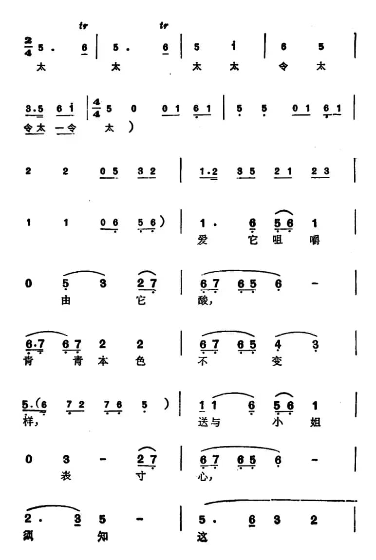 徐玉兰唱腔集：梅子虽酸回味长（选自《西园记》张继华唱段）