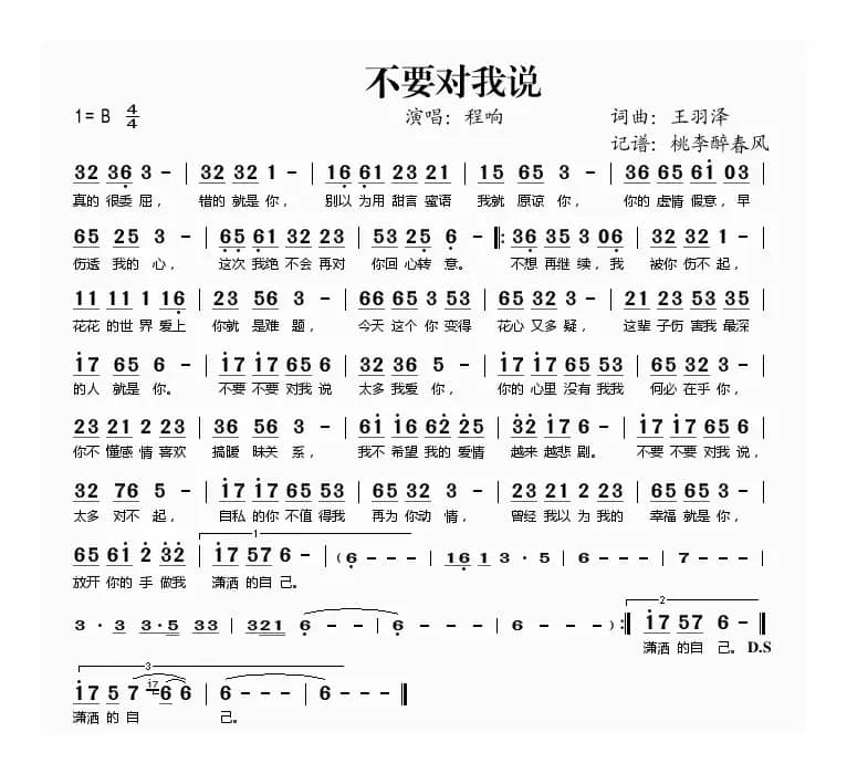 不要对我说（王羽泽 词曲）