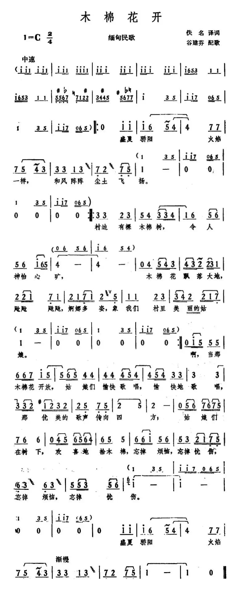 木棉花开 （缅甸民歌）