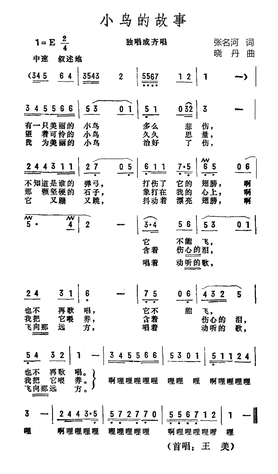 小鸟的故事