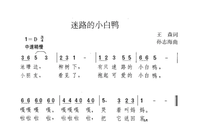 迷路的小白鸭