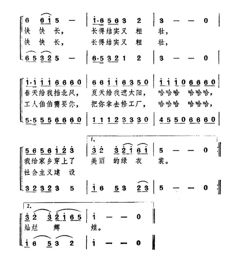 家乡穿上绿衣裳