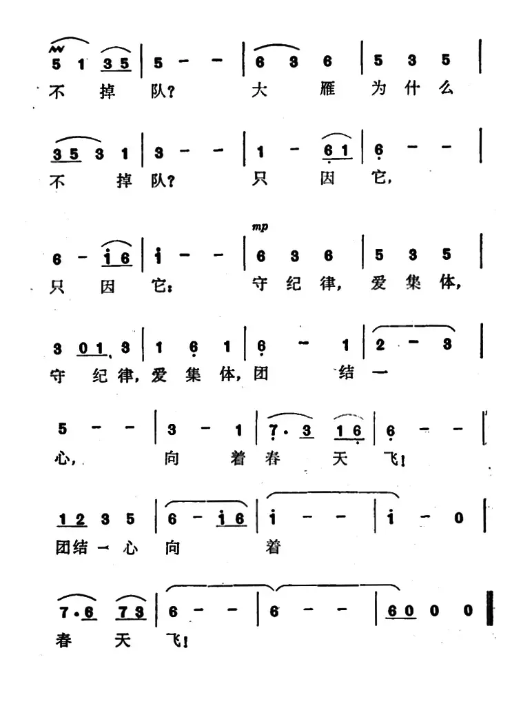 大雁为什么不掉队