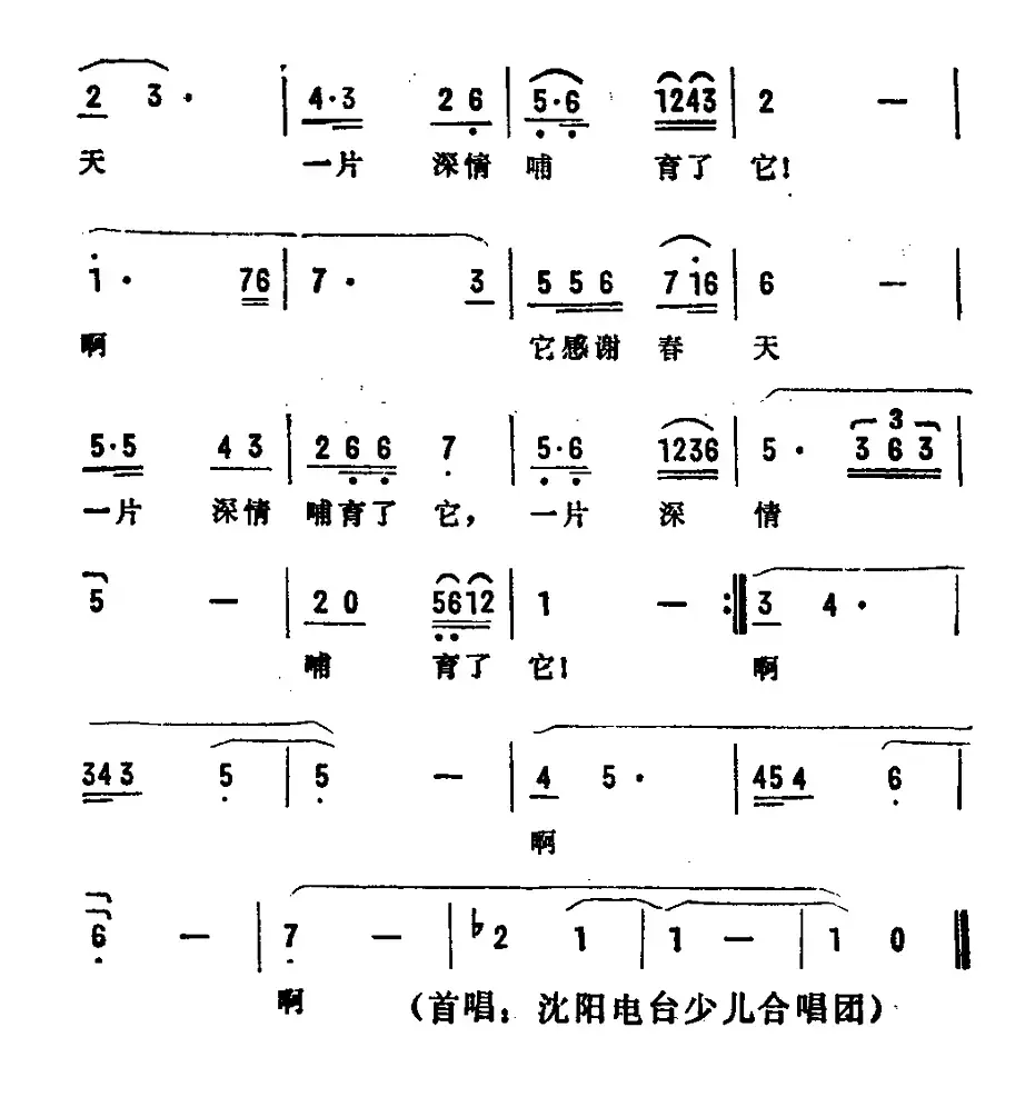 迟开的小春花