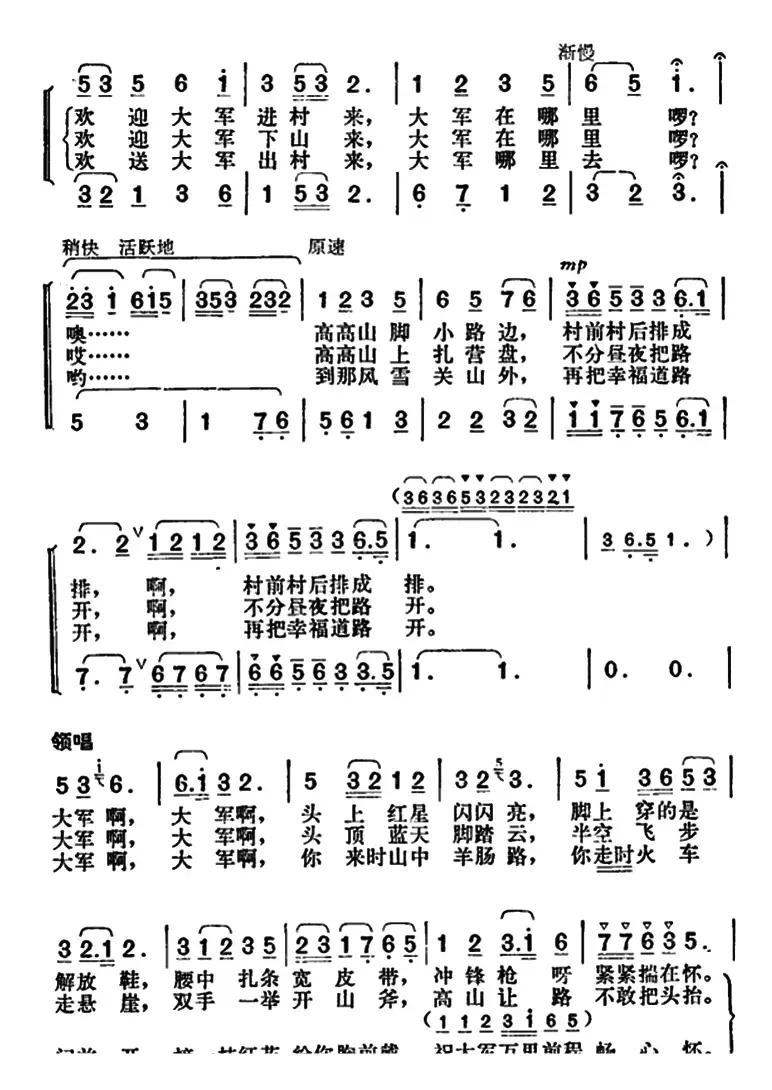 红棉花满树开