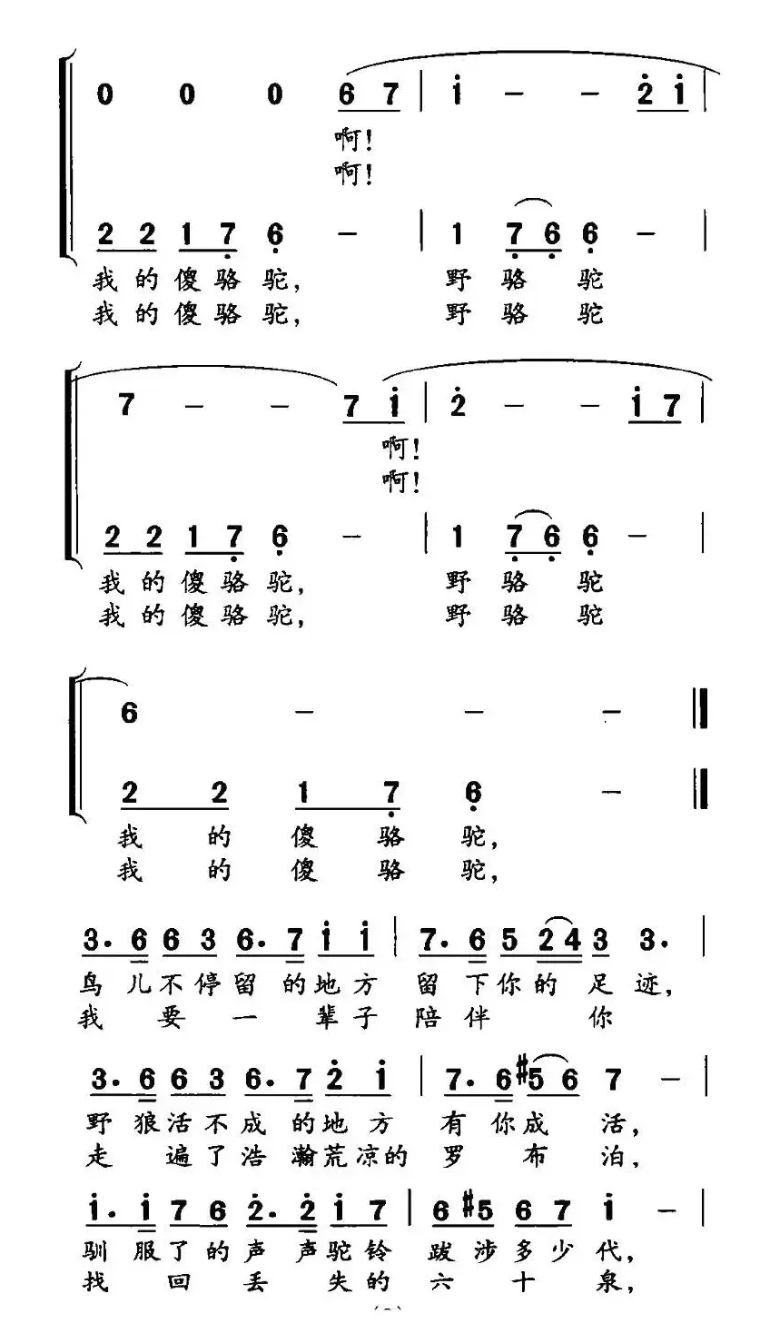 野骆驼 傻骆驼（高枫词 黄宇新曲）