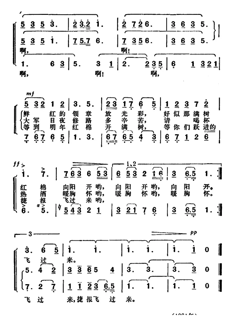 红棉花满树开