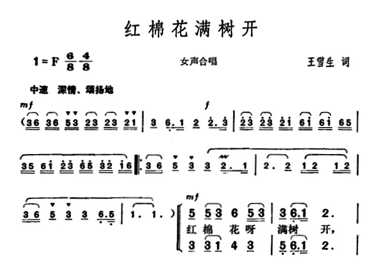 红棉花满树开