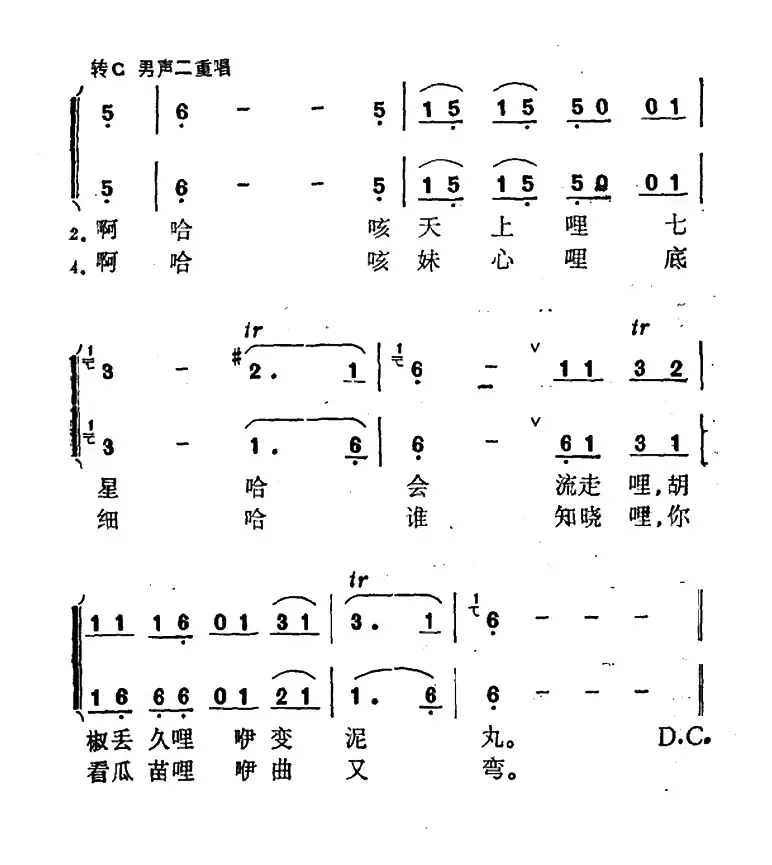 情歌对唱（广西壮族民歌）