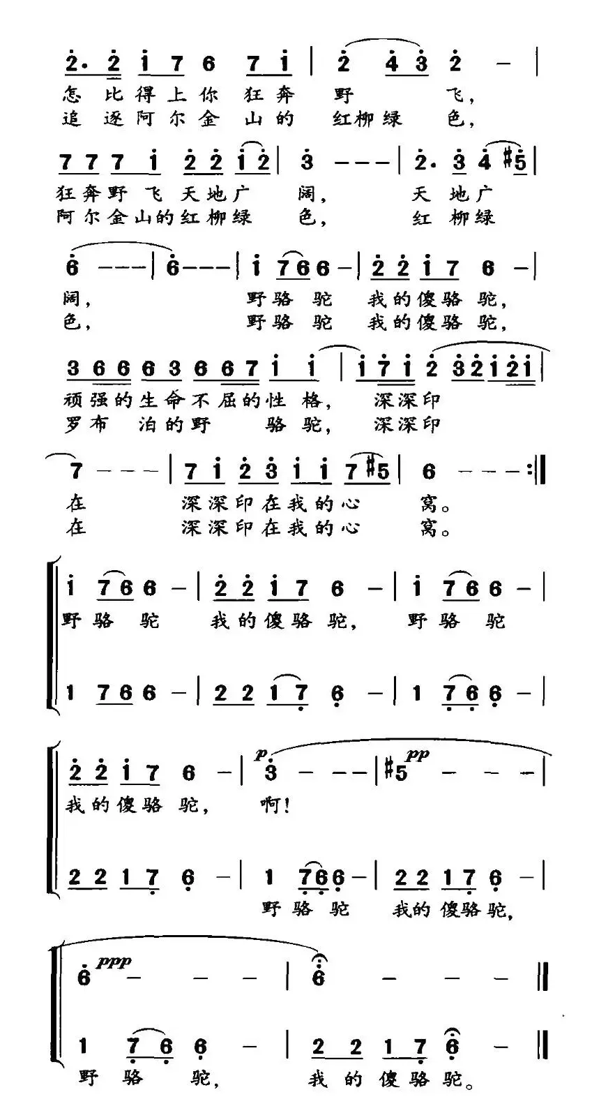 野骆驼 傻骆驼（高枫词 黄宇新曲）