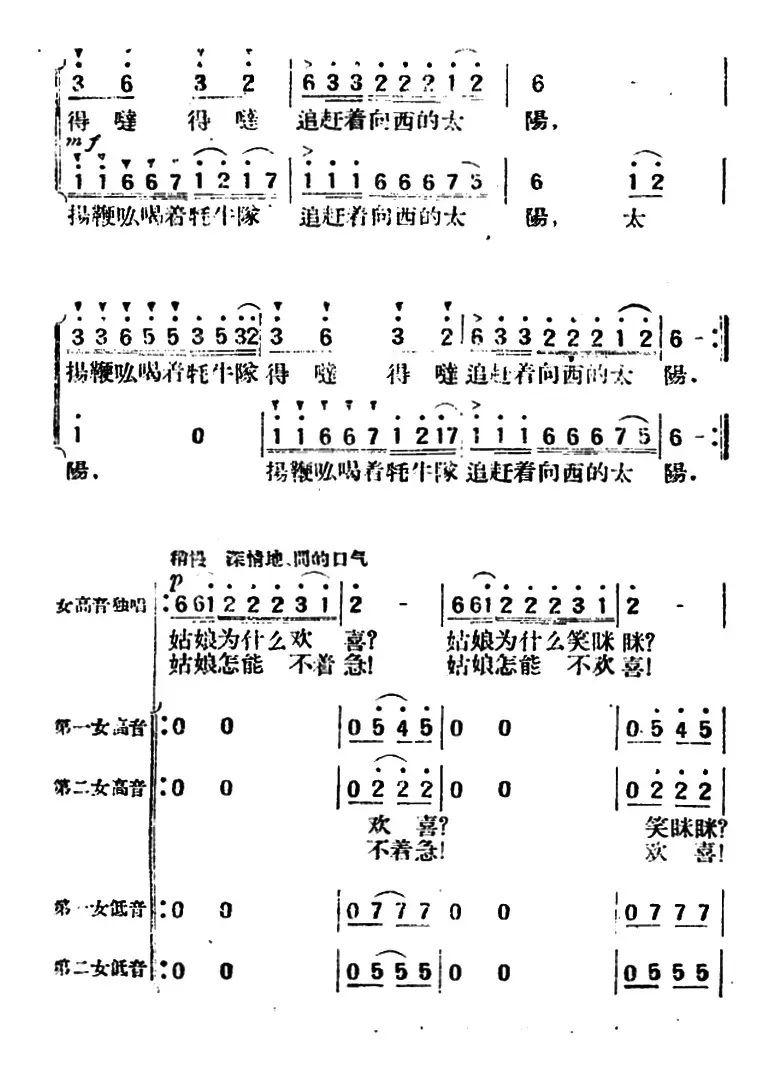 牦牛队的姑娘 