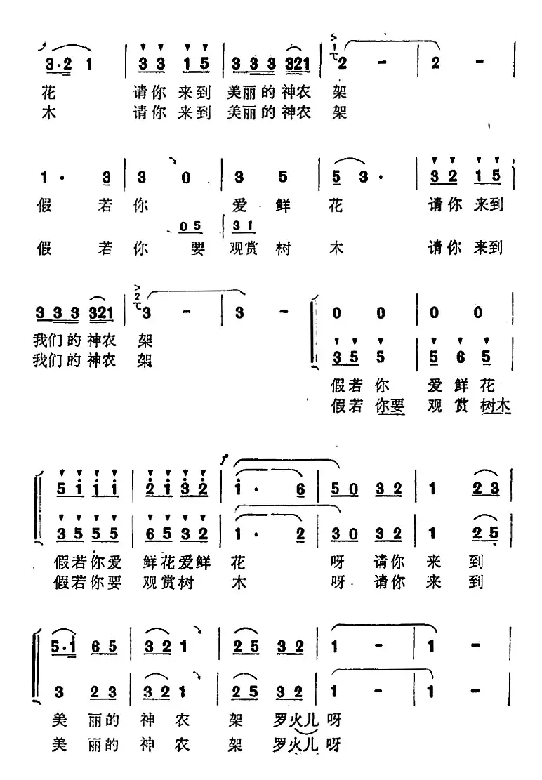 美丽的神农架 