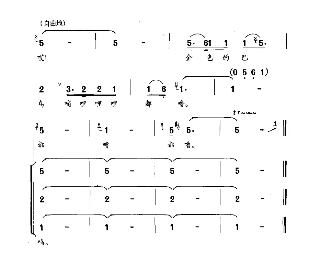 金巴鸟