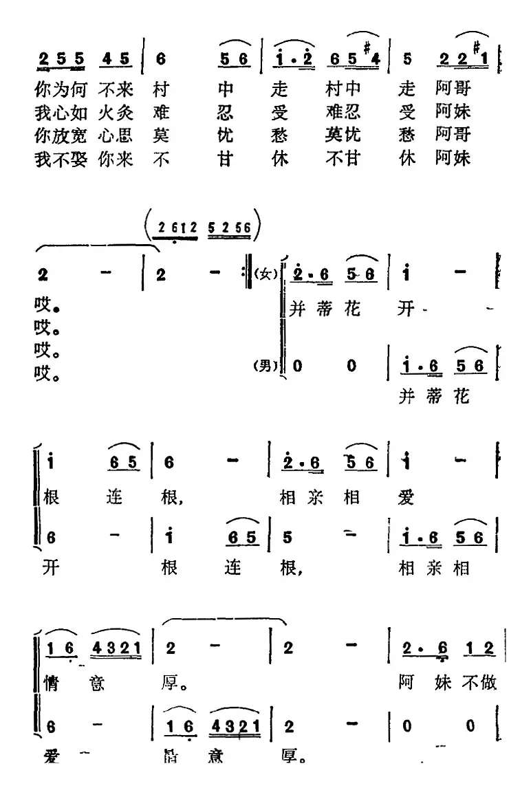 藤缠树来树缠藤 （张玉柱词 奉孝伦 曲）