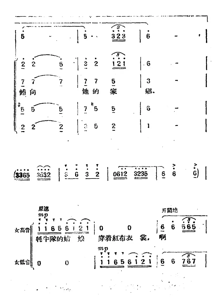 牦牛队的姑娘 