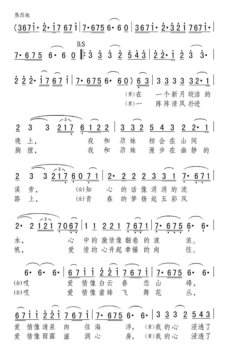 新月下的向往