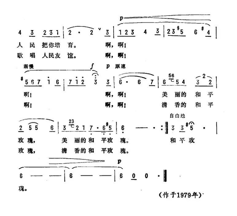 美丽的和平玫瑰