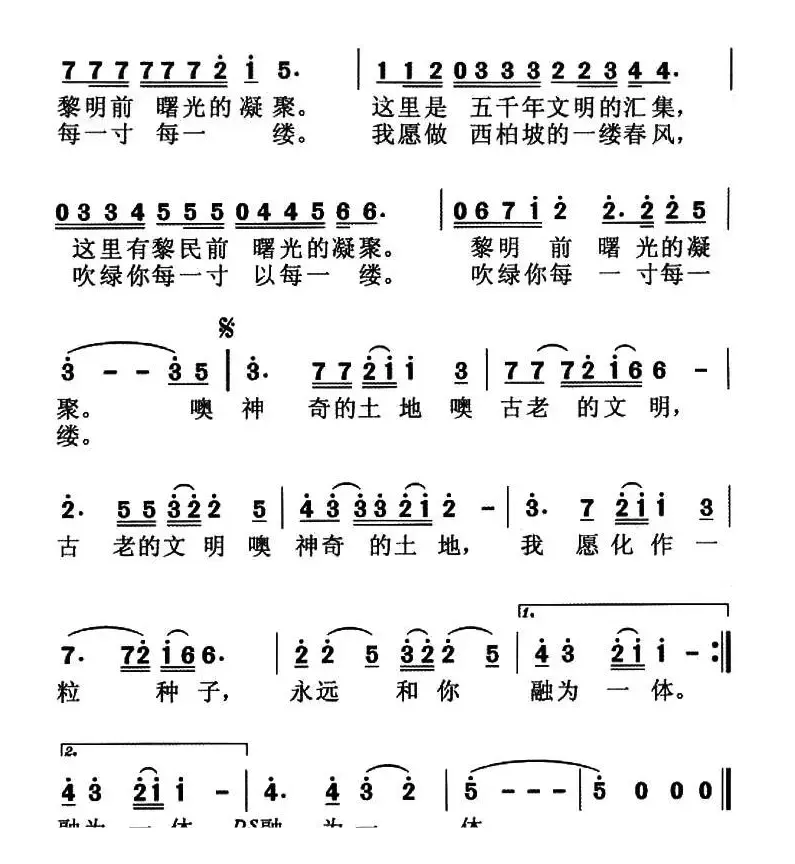 我深爱的这片土地