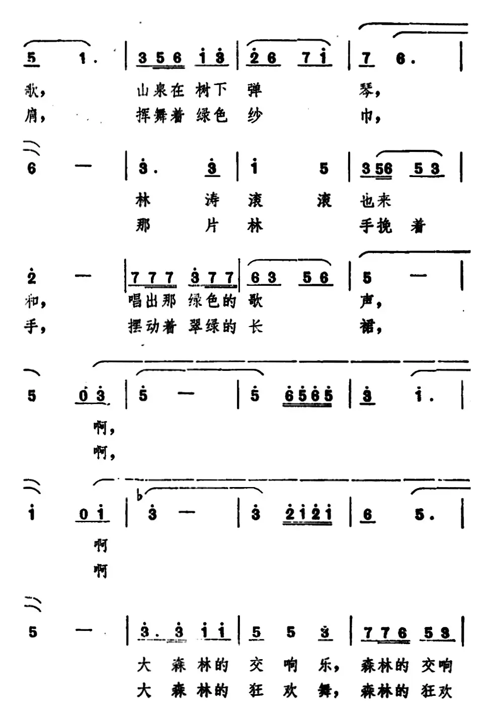 多美呀，大森林