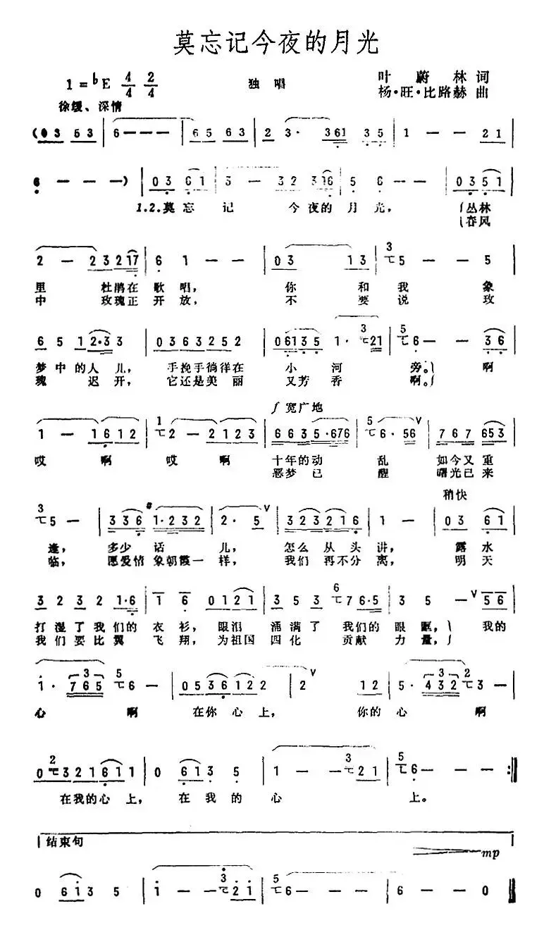 莫忘记今夜的月光