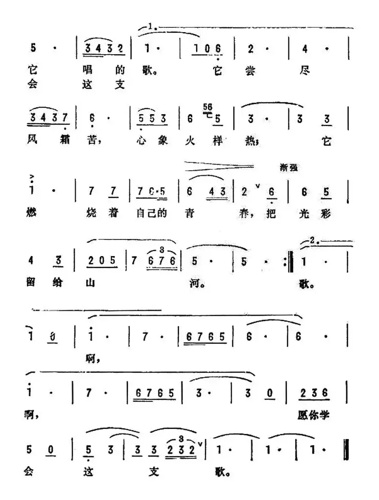 愿你学会这支歌（电影《拼搏》插曲）