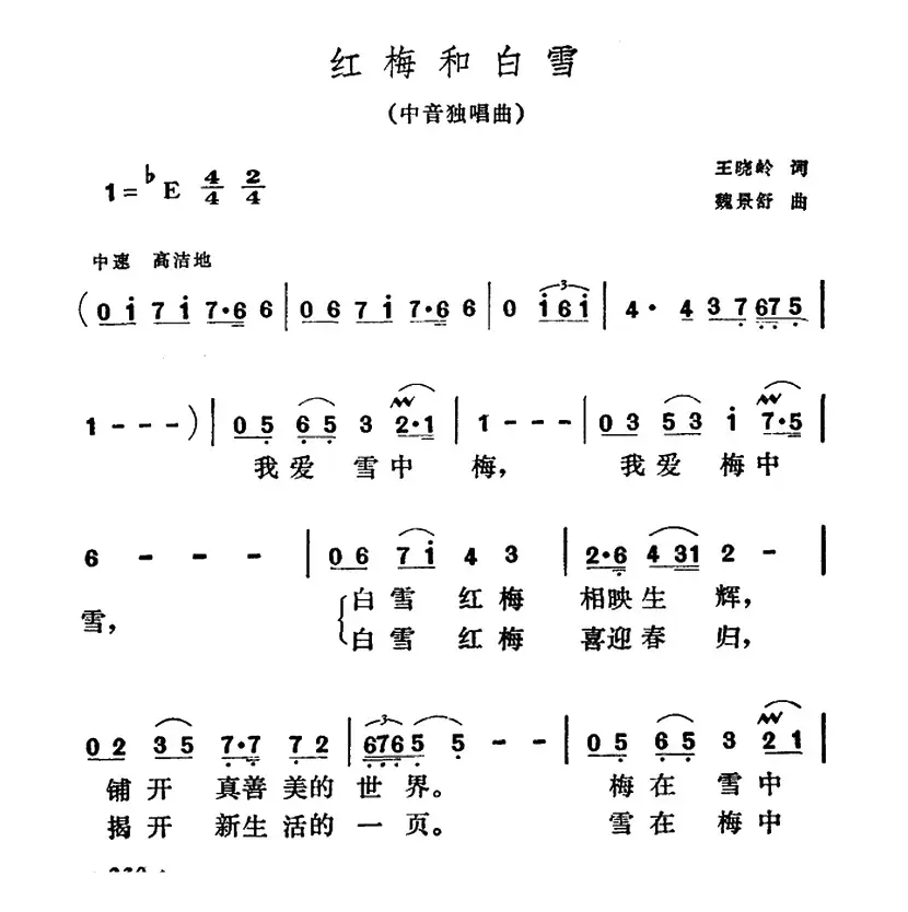 红梅和白雪