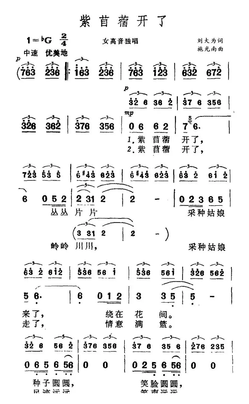 紫苜蓿开了