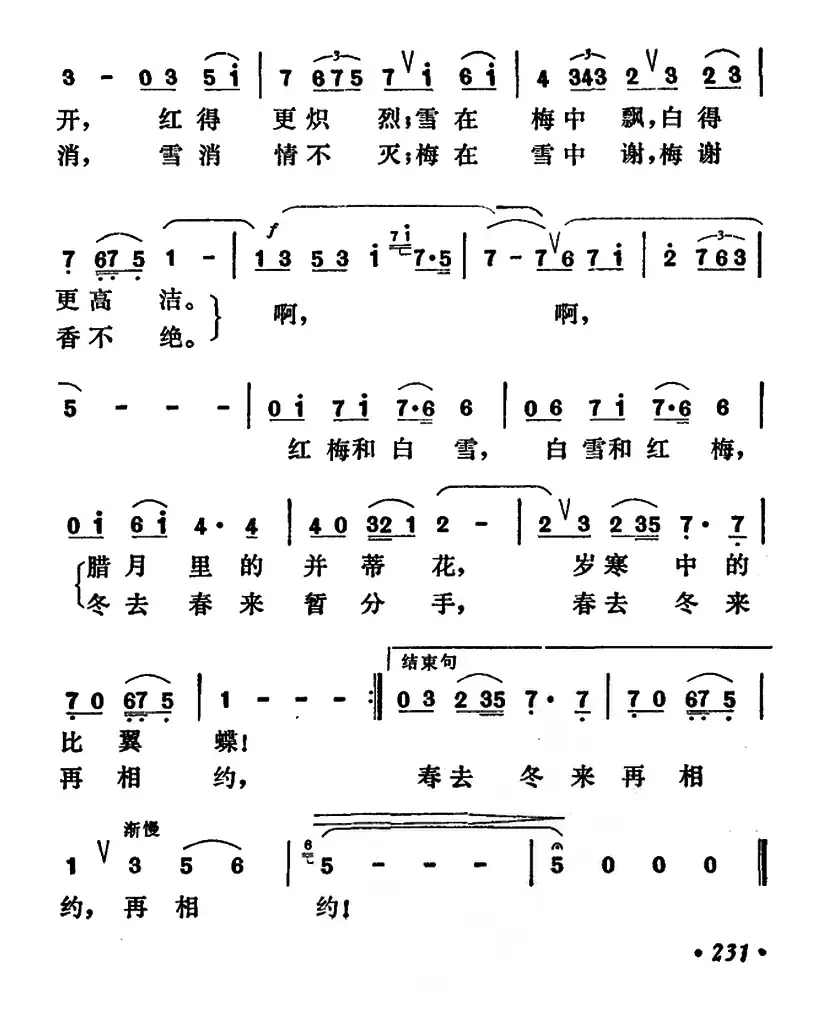 红梅和白雪