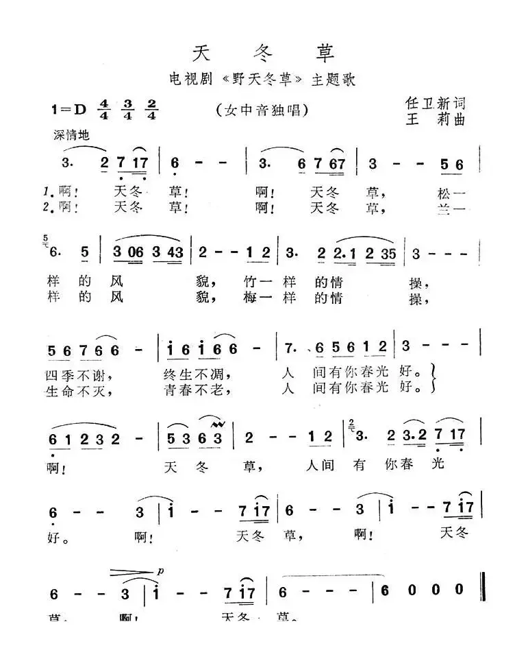 天冬草（电视连续剧《野田冬草》主题歌）