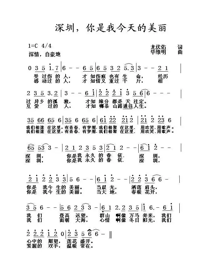 深圳，你是我今天的美丽