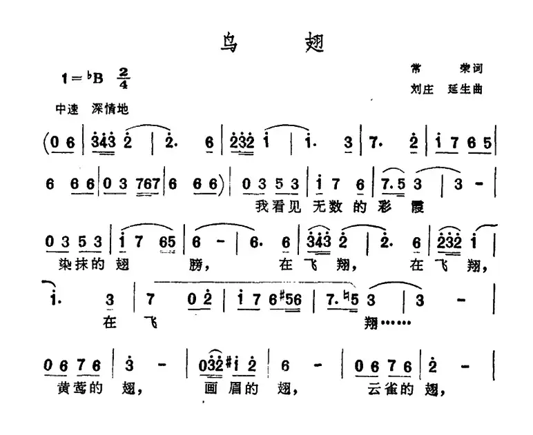 鸟翅