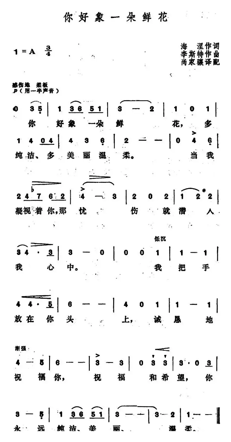 [匈]你好象一朵鲜花 