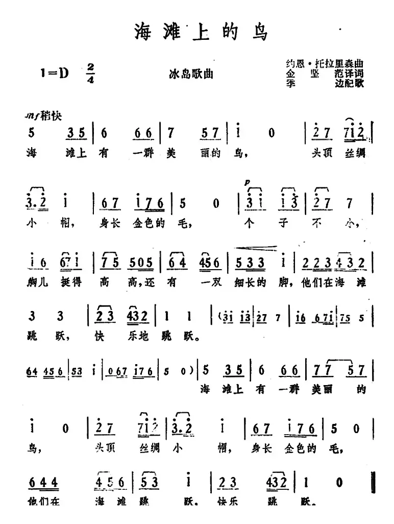 [冰岛]海滩上的鸟 