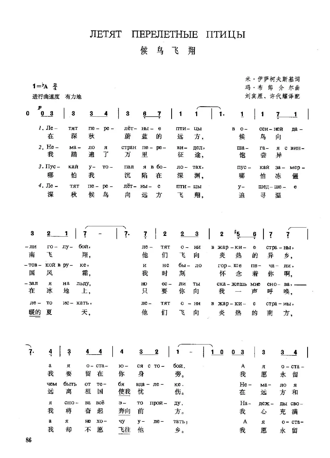 [俄]候鸟飞翔