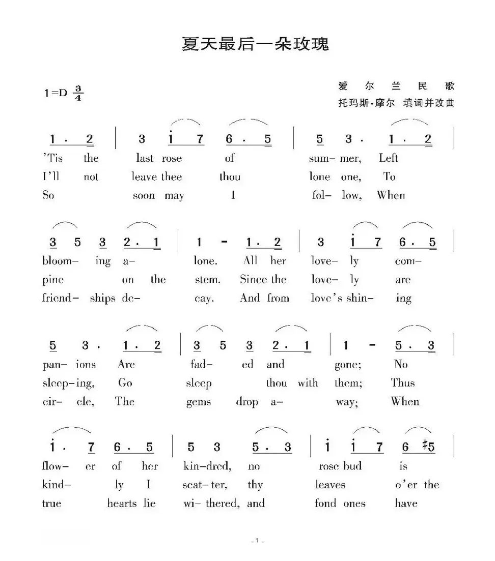 [爱尔兰]夏天最后一朵玫瑰