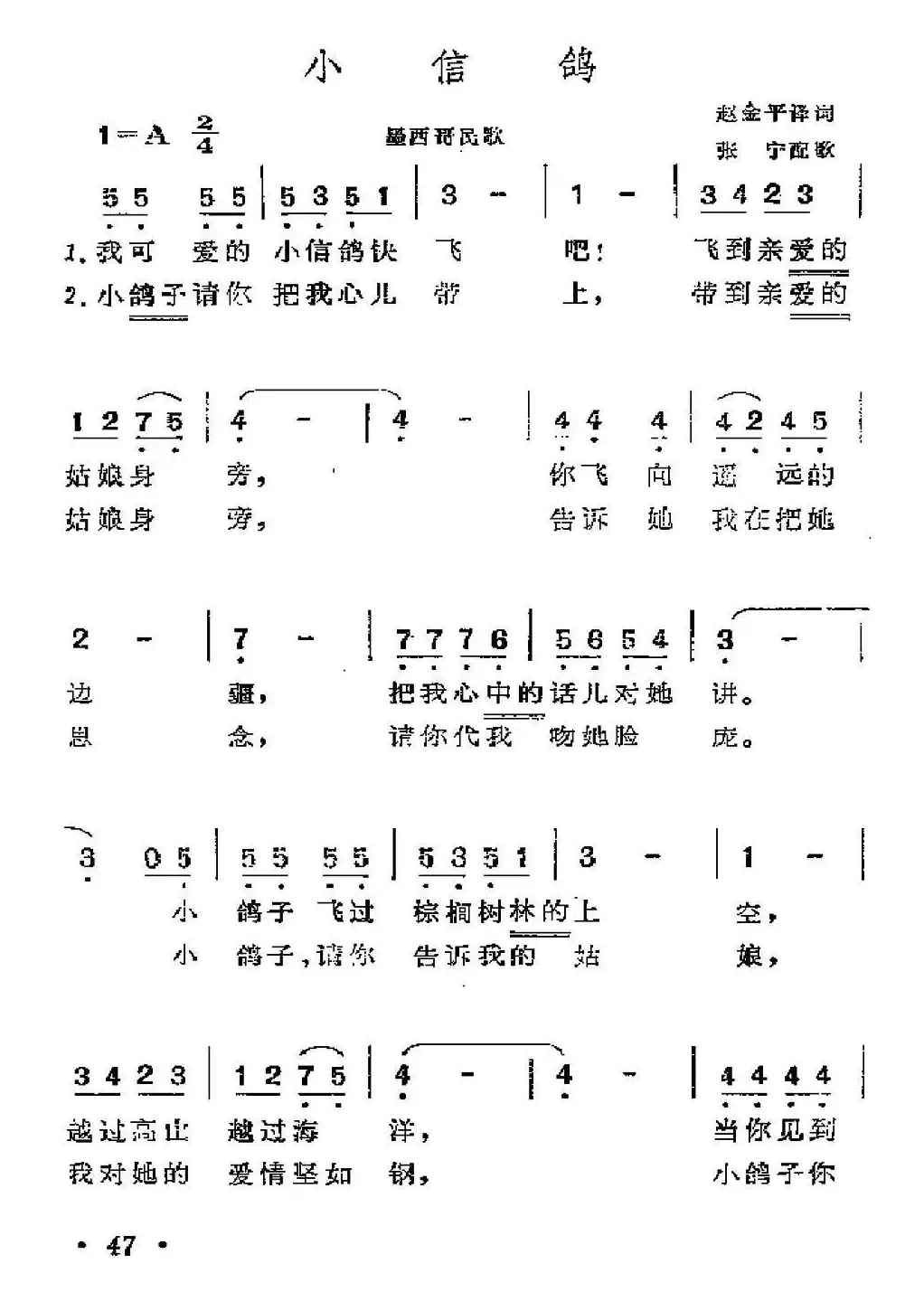 [墨西哥]小信鸽