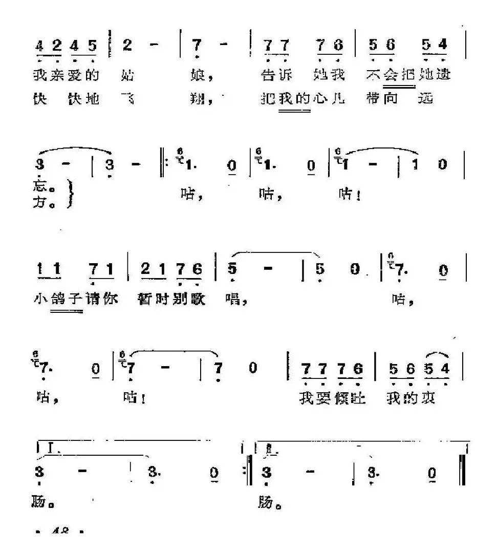 [墨西哥]小信鸽