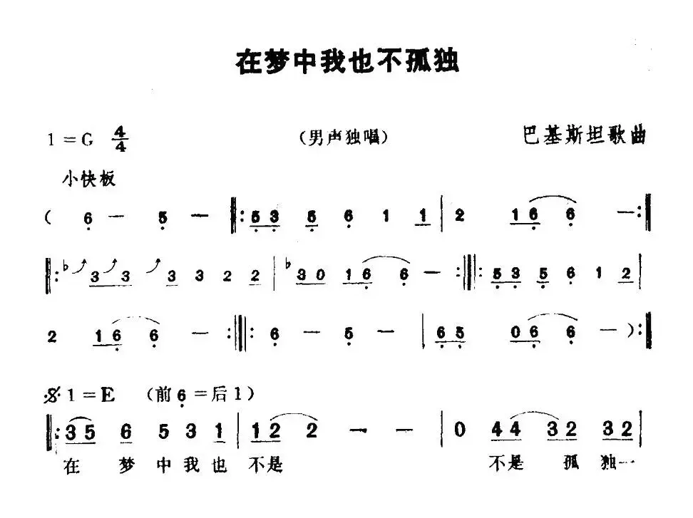 [巴基斯坦]在梦中我也不孤独